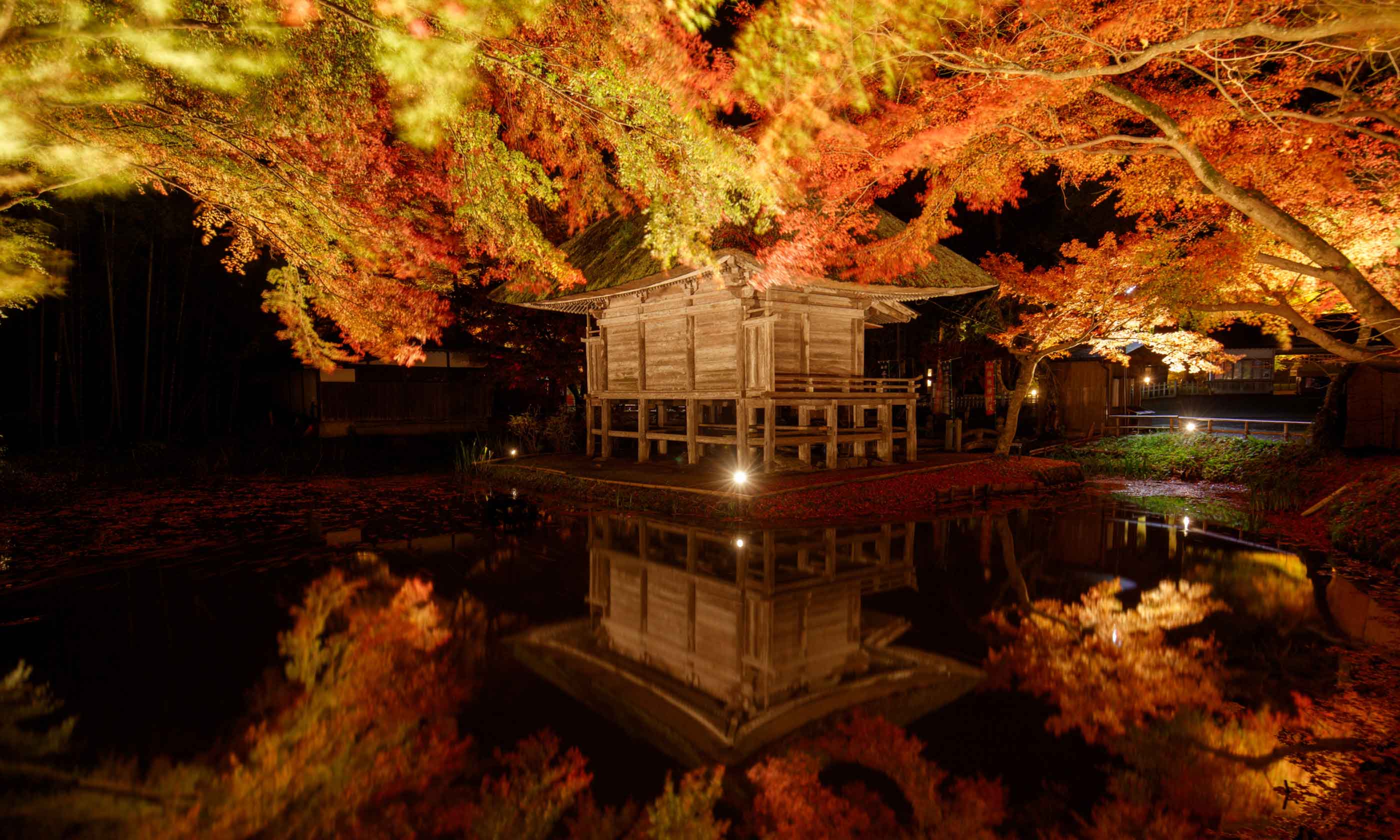 Autumn in Hiraizumi